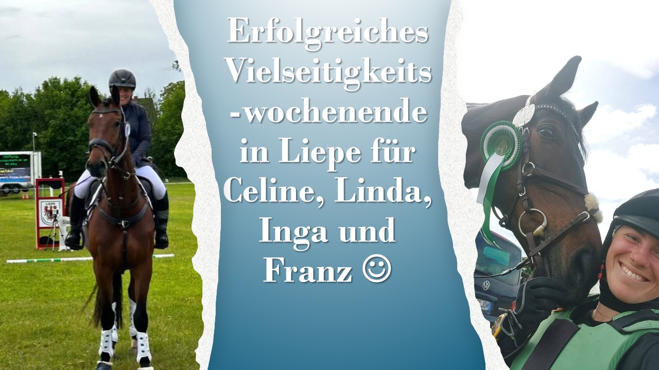 Präsentation1