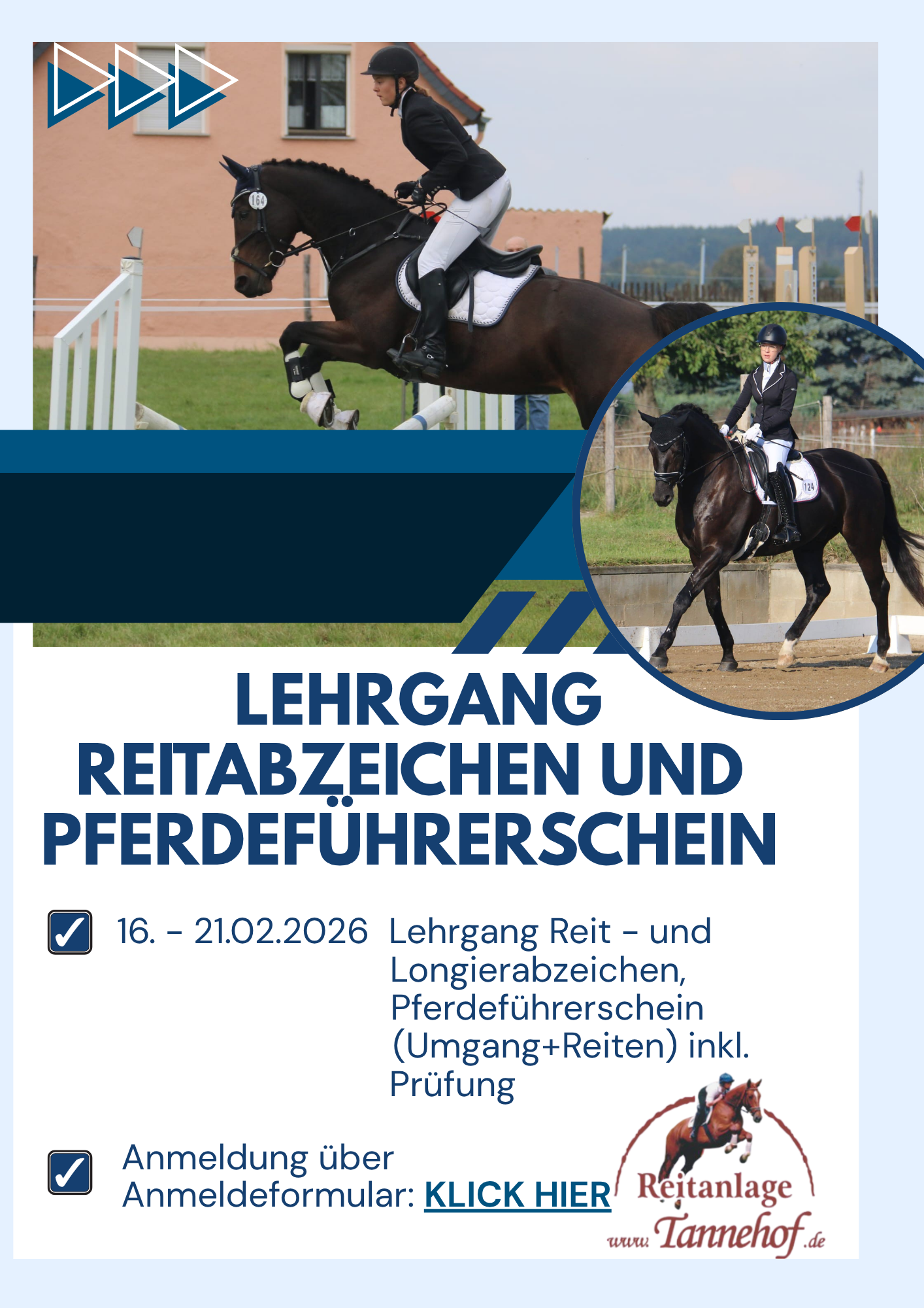 Reitabzeichen Homepage