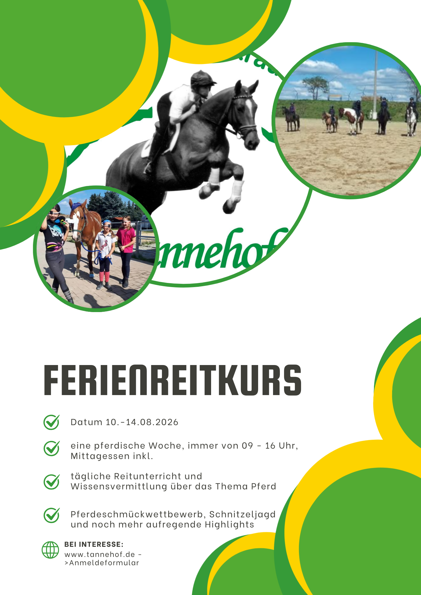 Green And Yellow Modern Horse Riding Flyer